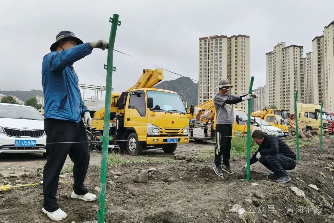 1764571847298678.jpg 7.jpg